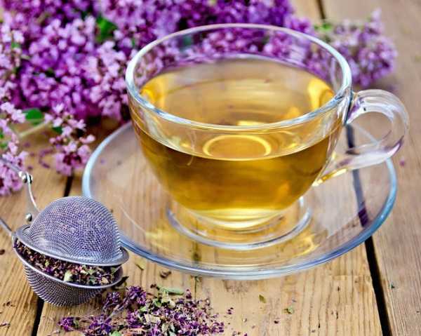 Иван-чай при расстройствах нервной системы