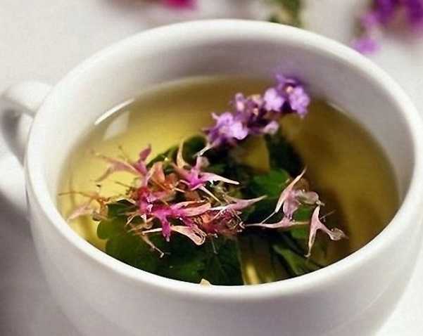 Лечение настоем