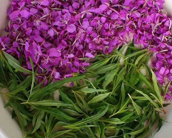 Противопоказания