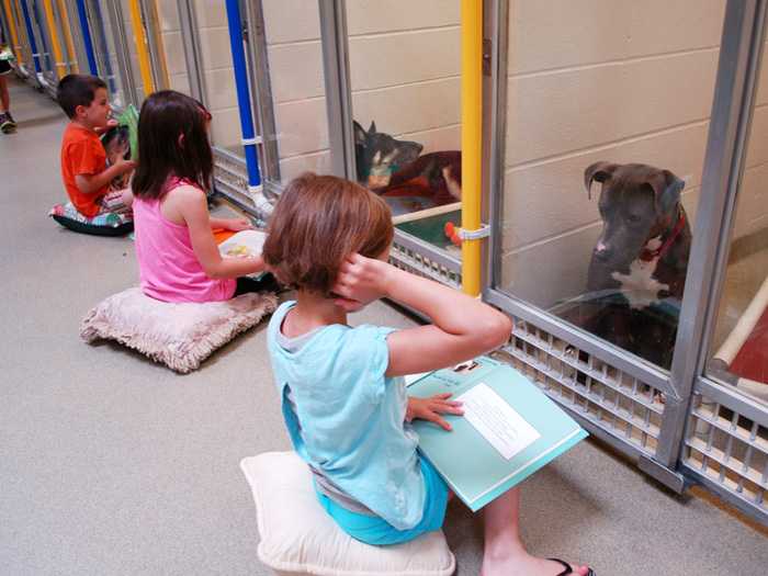 Дети читают для собак Дети в приюте читают свои первые книги для собак