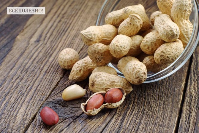 С какого возраста можно давать арахис детям: польза и вред для детей, как проявляется аллергия