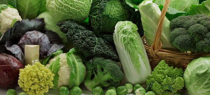 Капуста при грудном вскармливании новорожденного0