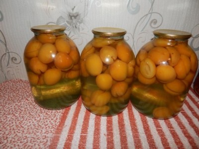 3 рецепта с абрикосами для кормящих мам, а также польза и вред плодов при грудном вскармливании