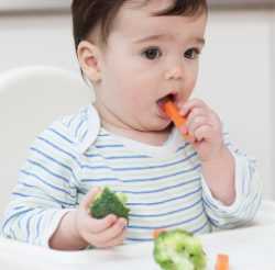 Ребенок и овощи Овощной прикорм для 9-ти месячного ребенка