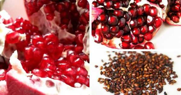 Косточки граната лучше выплевывать