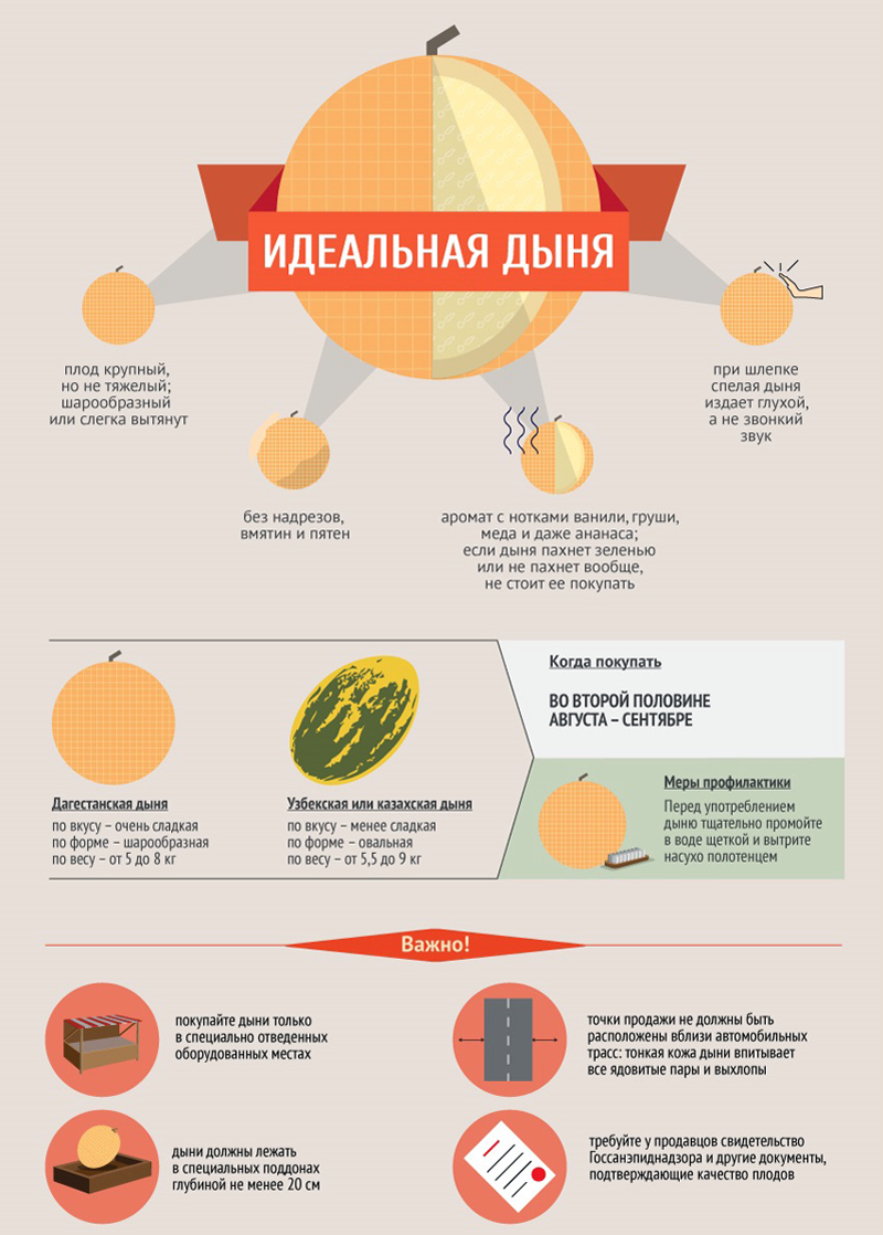 Можно ли дыню при грудном вскармливании новорожденного? 3