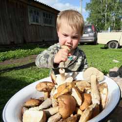Маленький мальчик и грибы Ребенок пробует на вкус грибы