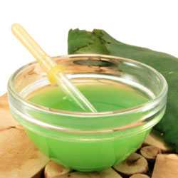 Сок каланхоэ Чтобы закапать сок каланхоэ в нос, нужна пипетка