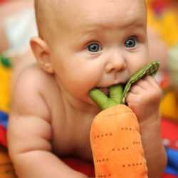 Ребенок грызет морковь-игрушку Ребенок лежит и грызет игрушку