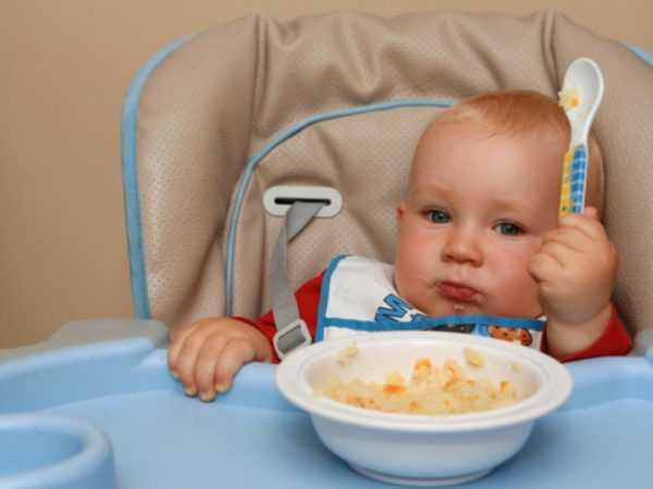 Вводить в рацион перепелиные яйца нужно постепенно