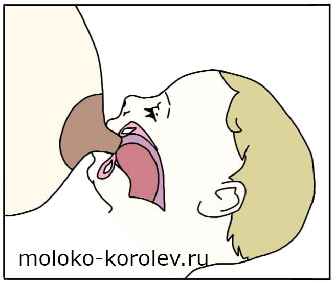 пустышку при грудном вскармливании 4