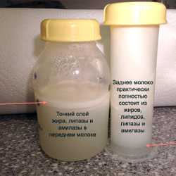 Структура молока после разморозки Осадок и верхний слой после разморозки