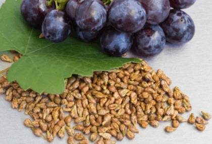 Виноградные косточки