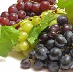 Сорта винограда Виноград трех разных сортов