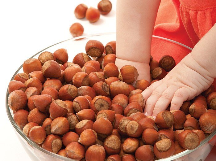 Орехи Орехи